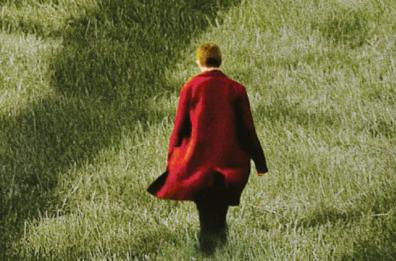 La terra avvelenata in «Semina il vento» del tarantino Caputo