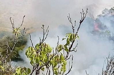 Ben 42 incendi dolosi in Basilicata: distrutti boschi ma anche raccolti agricoli