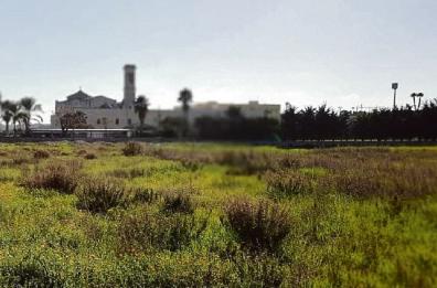 Comparto 32, il Comune di Taranto va al Consiglio di Stato Comparto 32, il Comune di Taranto va al Consiglio di Stato