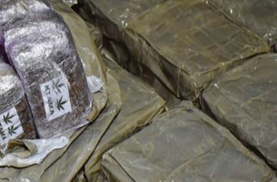 In due frigo nascondeva 400 kg di hashish: arrestato 40enne di Bitonto