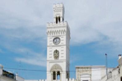Cellamare, la denuncia del sindaco: «3 gattini sono stati avvelenati»