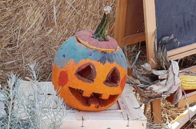 Halloween: zucche, cene e dj set, notte da brivido per tutte le età. Ecco cosa fare a Bari