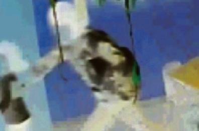 Maestra violenta a Taranto: condannata a 4 anni e 8 mesi in appello