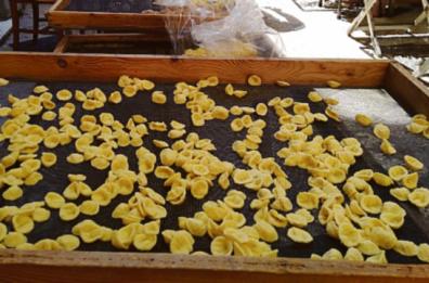 «Orecchietta gate»: ora le regole. Le pastaie convocate in Comune a Bari