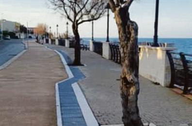 Pista ciclabile di Santo Spirito, la replica del Comune: «Non finisce contro l’albero quel percorso tutela i non vedenti»