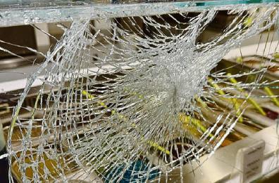 Rapina alla yogurteria del centro di Altamura: proprietario aggredito col martello