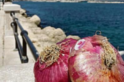 La cipolla rossa di Acquaviva prepara la festa