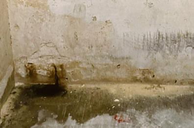 Case popolari al San Paolo di Bari, la denuncia: «Mia madre 85enne vive tra blatte, muffa e umidità»