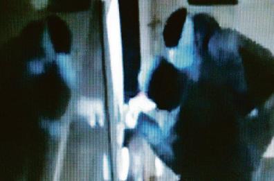 Banda della marmotta nel Foggiano, chieste 5 condanne a 37 anni di carcere