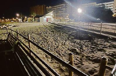 Il sindaco Leccese incontra i ragazzi aggrediti a Pane e Pomodoro:  «Questi balordi non cambieranno lo spirito di Bari»