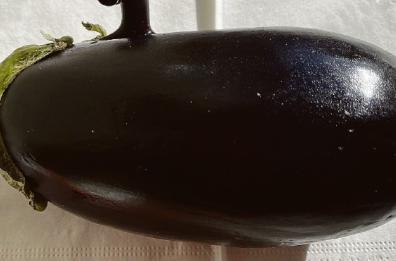 Ecco le melanzane l’ortaggio protagonista
