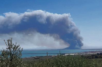 Gli incendi sul Gargano devastano anche l’anima