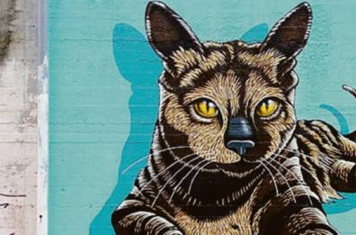 Un murale per «Micia» la gattina uccisa a Potenza