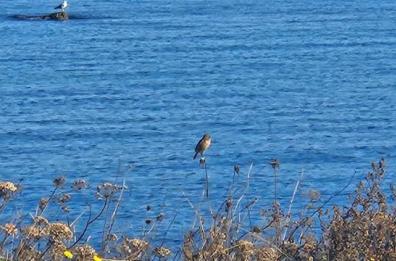 La foto del giorno del 16 novembre 2025