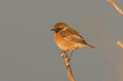 La foto del giorno del 22 novembre 2025