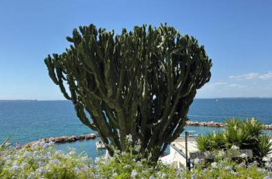 La foto del giorno del 30 novembre 2025