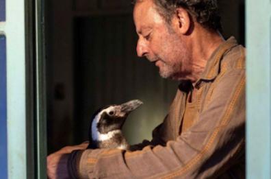 Cura degli animali e tutela del creato nel film con Reno