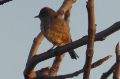 La foto del giorno del 30 dicembre 2025