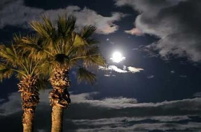 La foto del giorno del 10 gennaio 2025