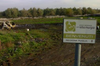 «Mezzo milione non dovuto al direttore del Parco dell'Alta Murgia». A processo per danno erariale anche quattro ex presidenti «Mezzo milione non dovuto al direttore del Parco dell'Alta Murgia». A processo per danno erariale anche quattro ex presidenti