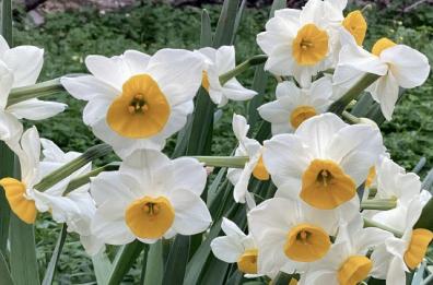 La foto del giorno del 17 gennaio 2026