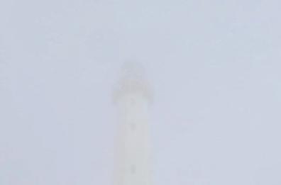 La foto del giorno del 19 gennaio 2026