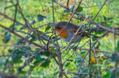 La foto del giorno del 12 febbraio 2026