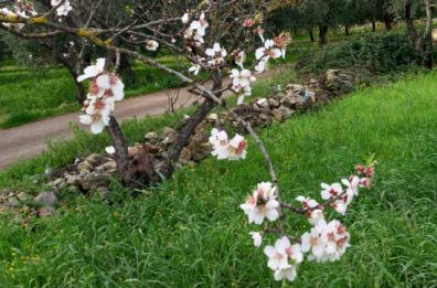 La foto del giorno del 14 febbraio 2026