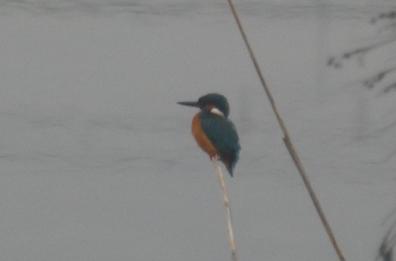 La foto del giorno del 17 febbraio 2026