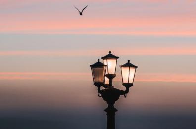 La foto del giorno del 20 febbraio 2026 La foto del giorno del 20 febbraio 2026