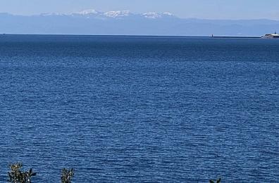 La foto del giorno del 25 febbraio 2026