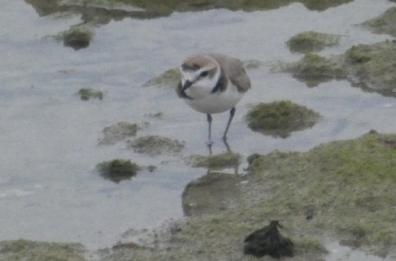 La foto del giorno del 3 marzo 2026