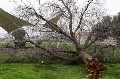 La foto del giorno del 10 marzo 2026 La foto del giorno del 10 marzo 2026