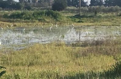 La foto del giorno del 31 marzo 2026