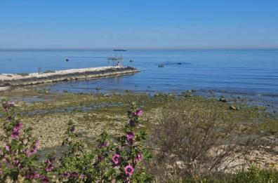 La foto del giorno dell'8 aprile 2026