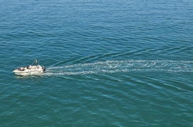 La foto del giorno del 9 aprile 2026