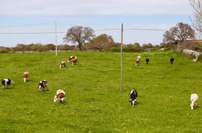 La foto del giorno del 18 aprile 2026