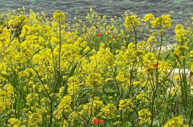 La foto del giorno del 22 aprile 2026