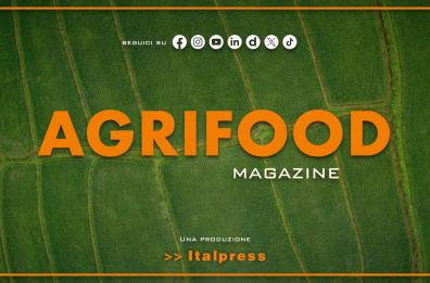 Agrifood Magazine - 13/8/2025