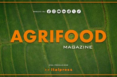 Agrifood Magazine - 27/8/2025