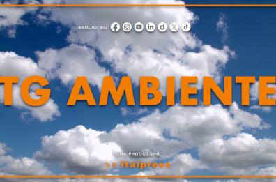 Tg Ambiente - 31/8/2025