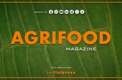Agrifood Magazine - 3/9/2025
