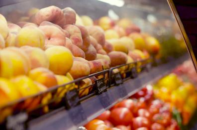 Agricoltura e industria alimentare trainano la ripresa italiana