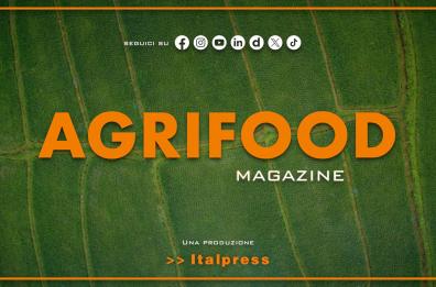 Agrifood Magazine - 12/11/2025