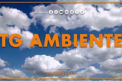 Tg Ambiente - 30/11/2025