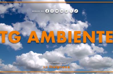 Tg Ambiente - 19/10/2025
