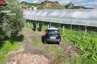 Scoperte nel reggino 35 mila metri quadrati di serre abusive in area protetta Scoperte nel reggino 35 mila metri quadrati di serre abusive in area protetta