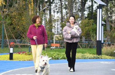 Cina, Shandong spinge sull’innovazione per far crescere l’economia pet Cina, Shandong spinge sull’innovazione per far crescere l’economia pet