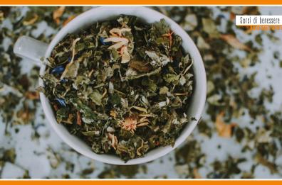 Sorsi di Benessere - Una tisana con betulla e tarassaco