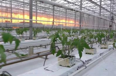 Sviluppo rurale, l'Italia ha speso il 99% dei fondi Ue